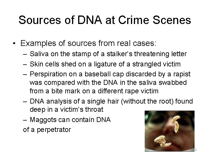 Sources of DNA at Crime Scenes • Examples of sources from real cases: –