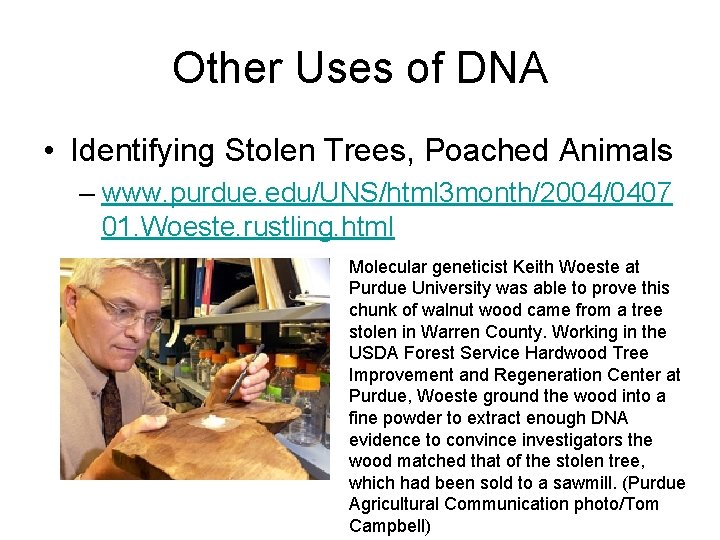 Other Uses of DNA • Identifying Stolen Trees, Poached Animals – www. purdue. edu/UNS/html
