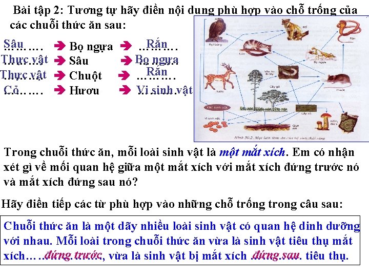 Bài tập 2: Tương tự hãy điền nội dung phù hợp vào chỗ trống