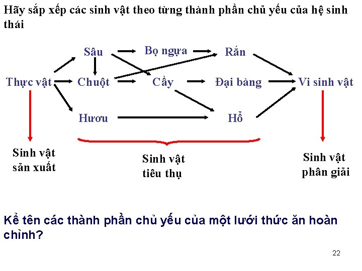 Hãy sắp xếp các sinh vật theo từng thành phần chủ yếu của hệ