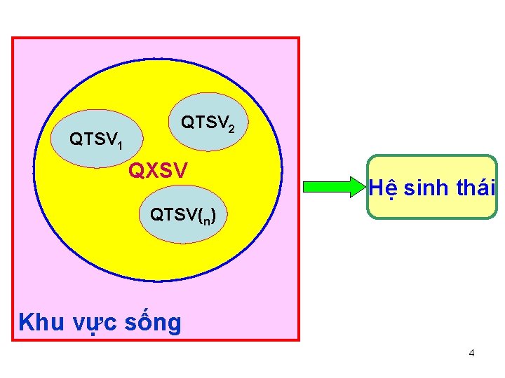 QTSV 1 QTSV 2 QXSV Hệ sinh thái QTSV(n) Khu vực sống 4 