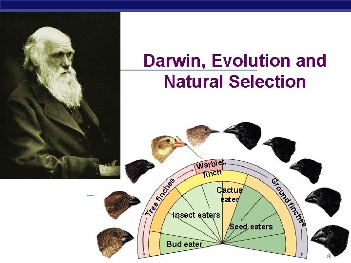 Darwin Evolution and Natural Selection ch e in