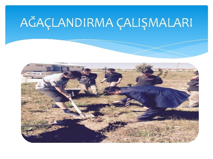 AĞAÇLANDIRMA ÇALIŞMALARI 