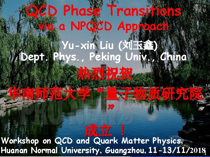 QCD Phase Transitions via a NPQCD Approach Yuxin