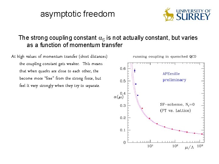 asymptotic freedom The strong coupling constant S is not actually constant, but varies as