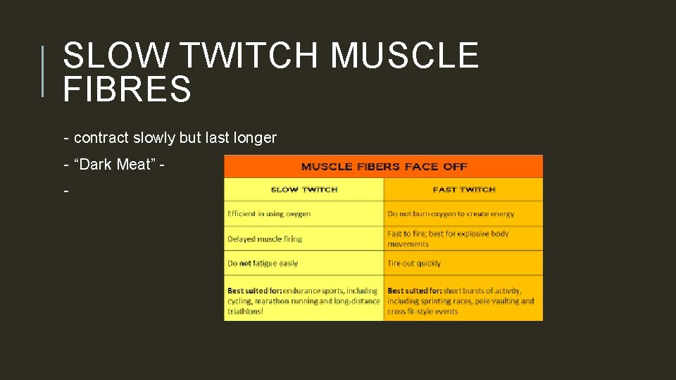 SLOW TWITCH MUSCLE FIBRES - contract slowly but last longer - “Dark Meat” -