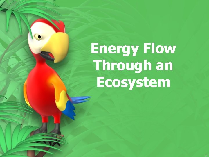 Energy Flow Through an Ecosystem 1 