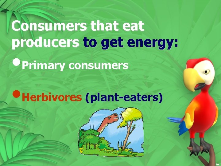 Consumers that eat producers to get energy: • Primary consumers • Herbivores (plant-eaters) 10