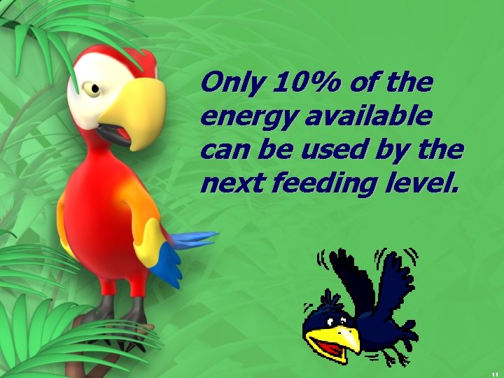 Only 10% of the energy available can be used by the next feeding level.