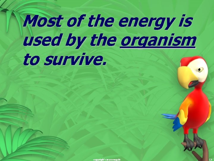 Most of the energy is used by the organism to survive. copyright cmassengale 13