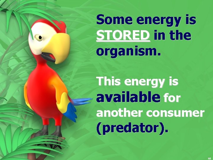Some energy is STORED in the organism. This energy is available for another consumer