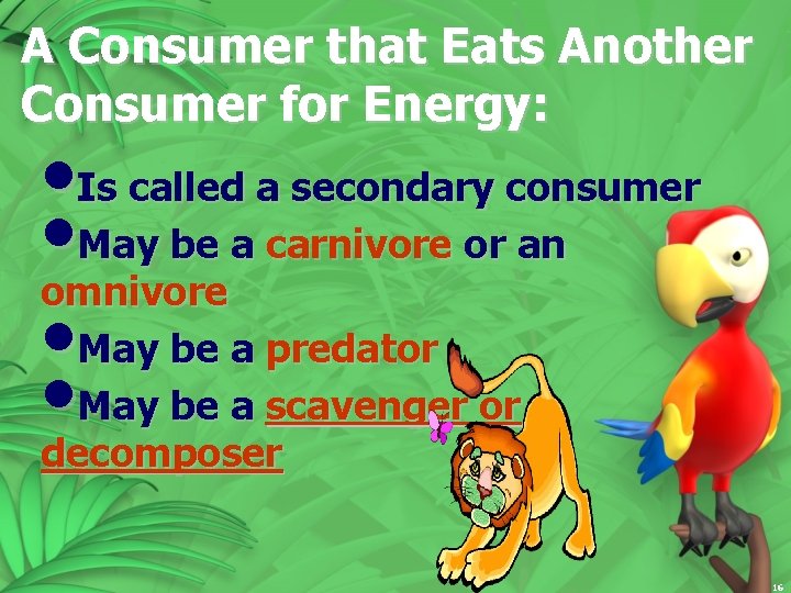 A Consumer that Eats Another Consumer for Energy: • Is called a secondary consumer