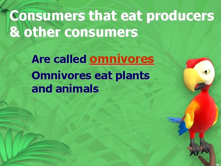 Consumers that eat producers & other consumers Are called omnivores Omnivores eat plants and