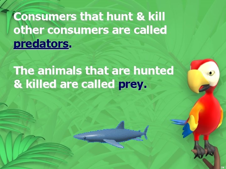 Consumers that hunt & kill other consumers are called predators. The animals that are