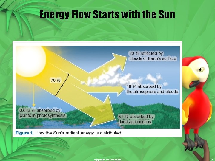 Energy Flow Starts with the Sun copyright cmassengale 2 
