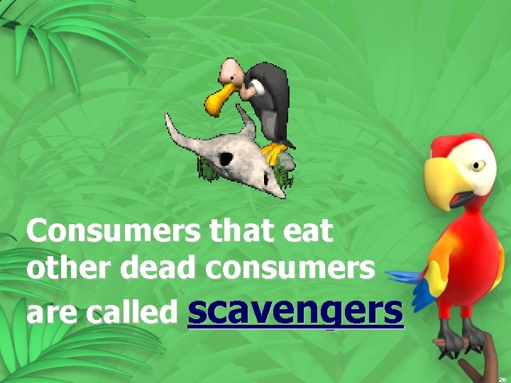 Consumers that eat other dead consumers are called scavengers 20 