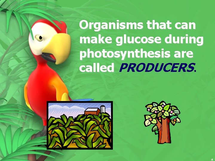 Organisms that can make glucose during photosynthesis are called PRODUCERS. 4 