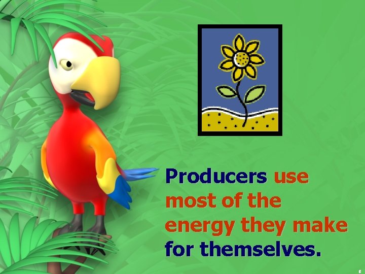 Producers use most of the energy they make for themselves. 5 