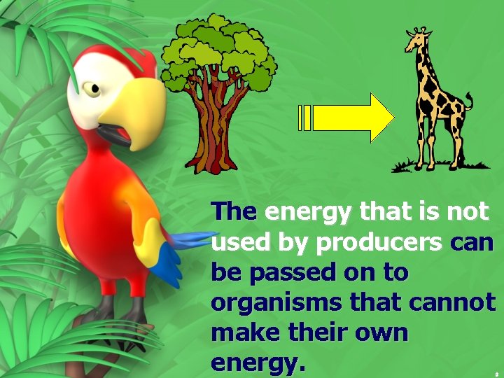 The energy that is not used by producers can be passed on to organisms