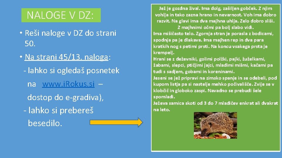 NALOGE V DZ: • Reši naloge v DZ do strani 50. • Na strani