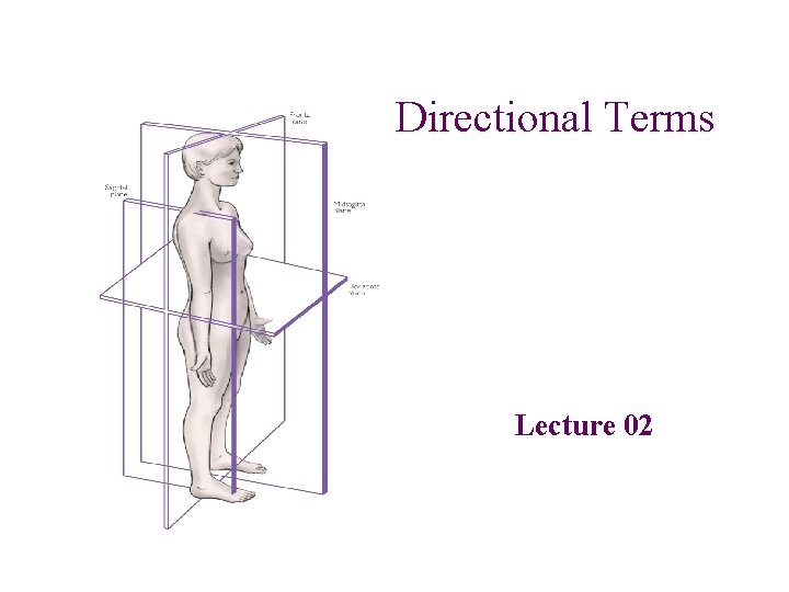 Directional Terms Lecture 02 