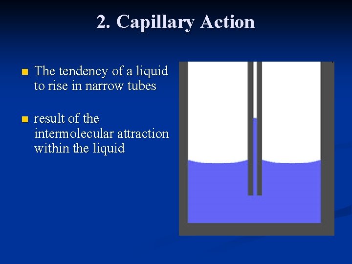 Transport in Plants a Xylem n n Dead