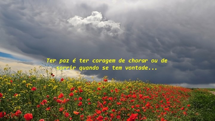 Ter paz é ter coragem de chorar ou de sorrir quando se tem vontade.