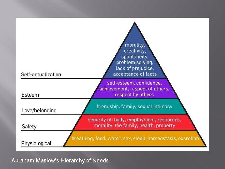 Abraham Maslow’s Hierarchy of Needs 