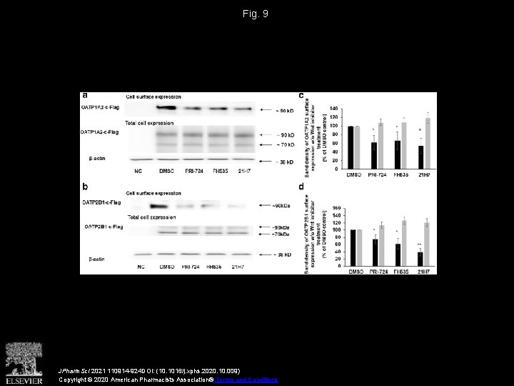 Fig. 9 JPharm. Sci 2021 110914 -924 DOI: (10. 1016/j. xphs. 2020. 10. 009)