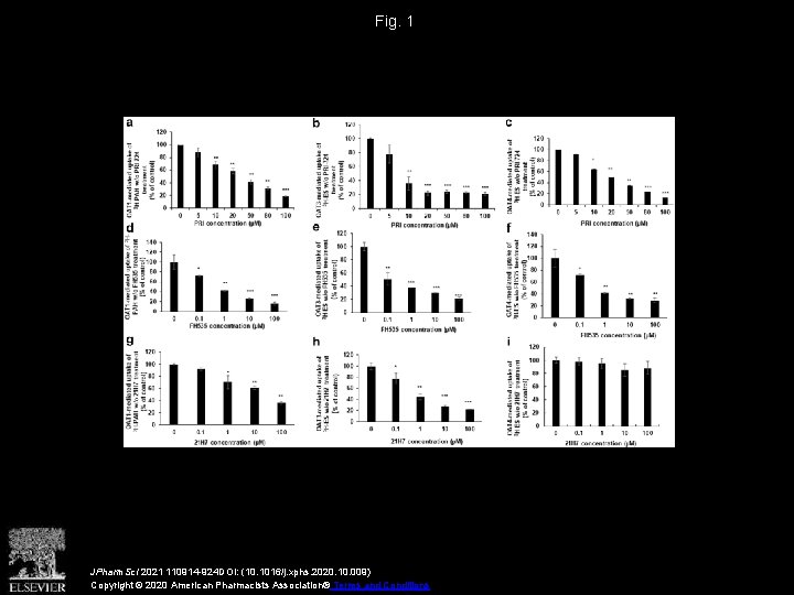 Fig. 1 JPharm. Sci 2021 110914 -924 DOI: (10. 1016/j. xphs. 2020. 10. 009)