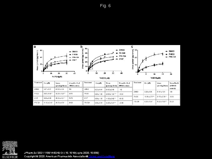 Fig. 6 JPharm. Sci 2021 110914 -924 DOI: (10. 1016/j. xphs. 2020. 10. 009)