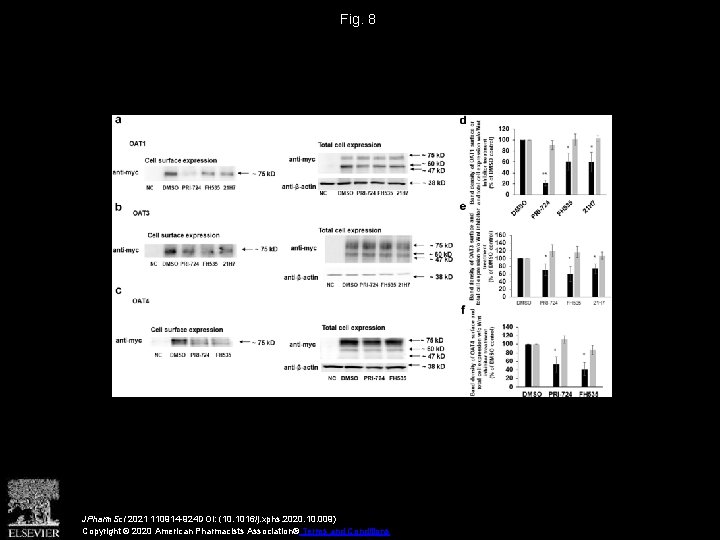 Fig. 8 JPharm. Sci 2021 110914 -924 DOI: (10. 1016/j. xphs. 2020. 10. 009)