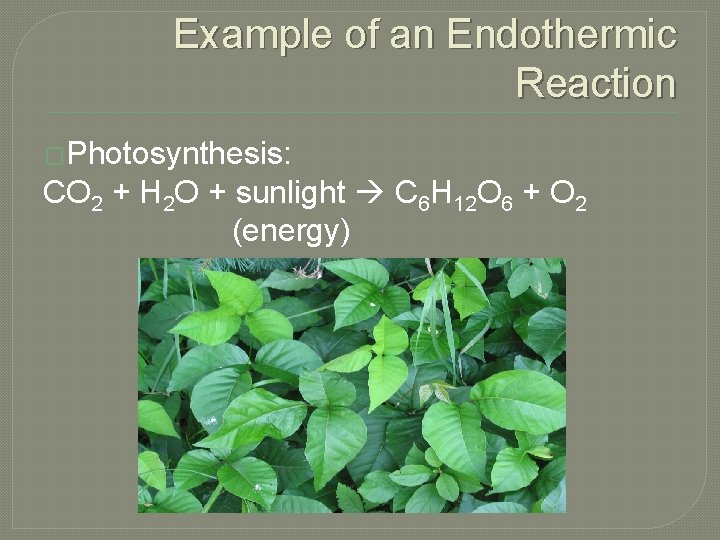 Example of an Endothermic Reaction �Photosynthesis: CO 2 + H 2 O + sunlight