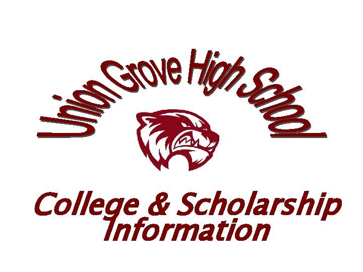 College & Scholarship Information 