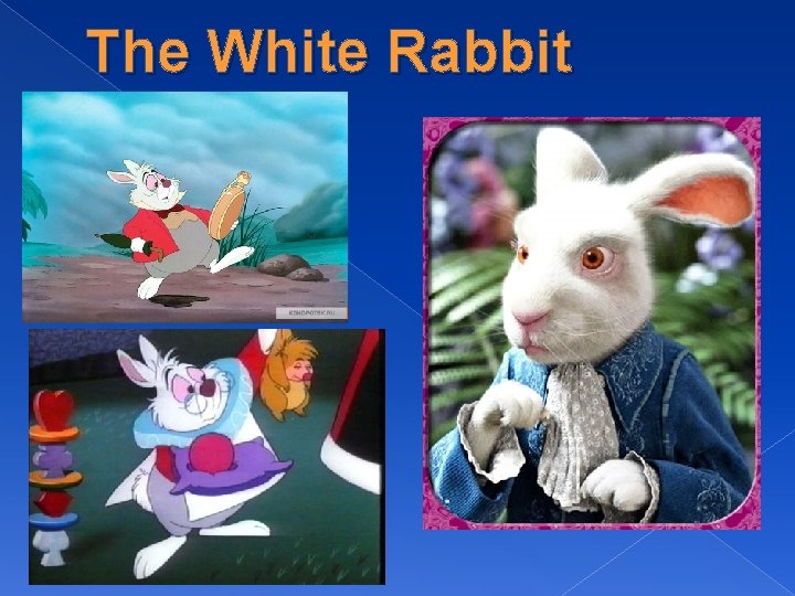 The White Rabbit 