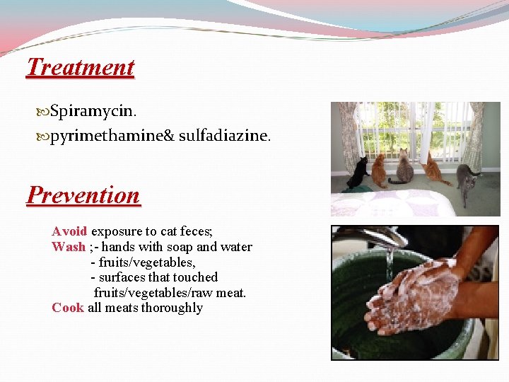 Treatment Spiramycin. pyrimethamine& sulfadiazine. Prevention Avoid exposure to cat feces; Wash ; - hands