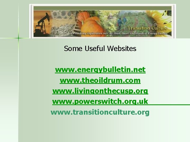 Some Useful Websites www. energybulletin. net www. theoildrum. com www. livingonthecusp. org www. powerswitch.