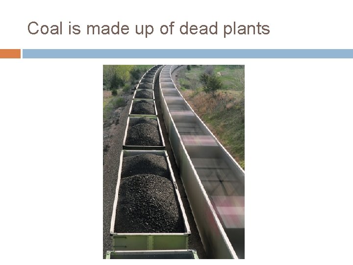 Coal is made up of dead plants 