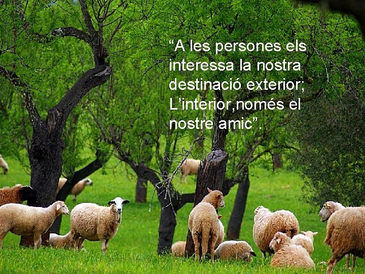 “A les persones els interessa la nostra destinació exterior; L’interior, només el nostre amic”.