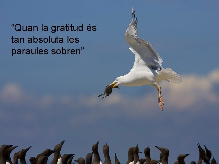 “Quan la gratitud és tan absoluta les paraules sobren” 