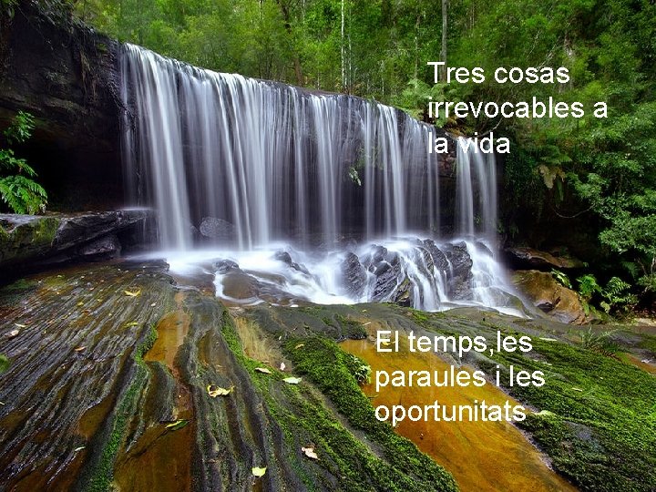 Tres cosas irrevocables a la vida El temps, les paraules i les oportunitats 