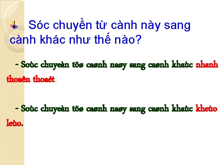 Sóc chuyền từ cành này sang cành khác như thế nào? - Soùc chuyeàn