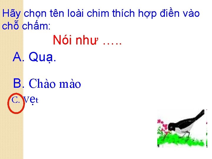 Hãy chọn tên loài chim thích hợp điền vào chỗ chấm: Nói như ….