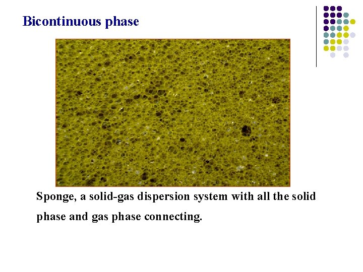 Bicontinuous phase Sponge, a solid-gas dispersion system with all the solid phase and gas