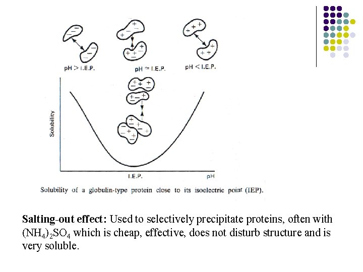 Salting-out effect: Used to selectively precipitate proteins, often with (NH 4)2 SO 4 which
