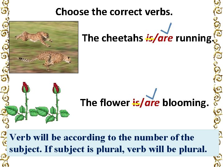 Choose the correct verbs. The cheetahs is/are running. The flower is/are blooming. Verb will