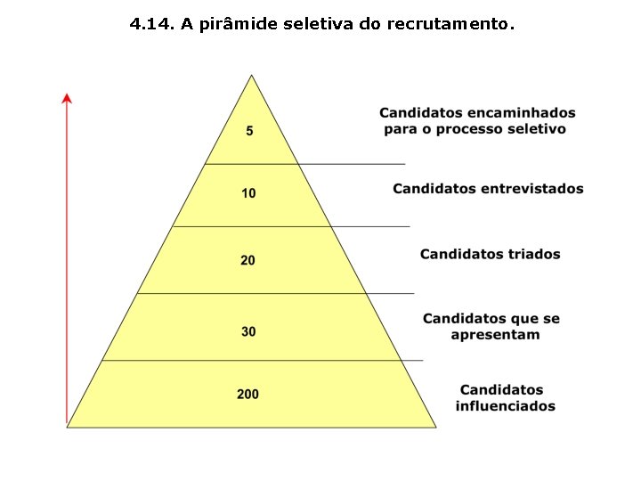 4. 14. A pirâmide seletiva do recrutamento. 