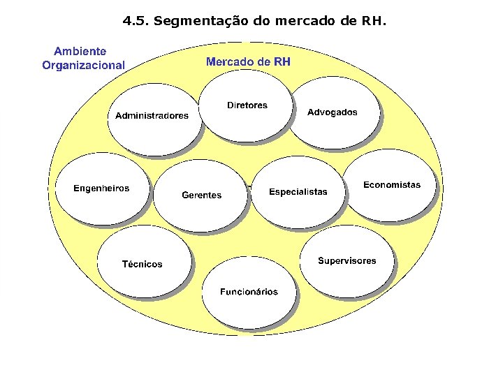 4. 5. Segmentação do mercado de RH. 