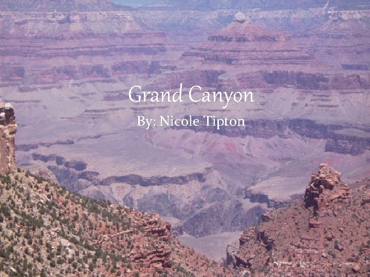 Grand Canyon By: Nicole Tipton 