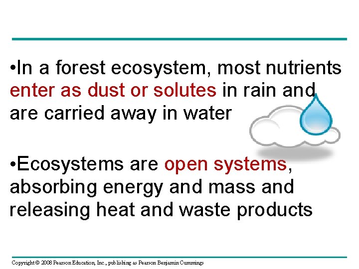  • In a forest ecosystem, most nutrients enter as dust or solutes in